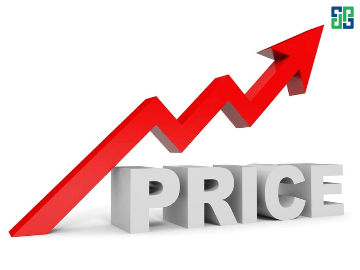 Flexible price adjustment strategy