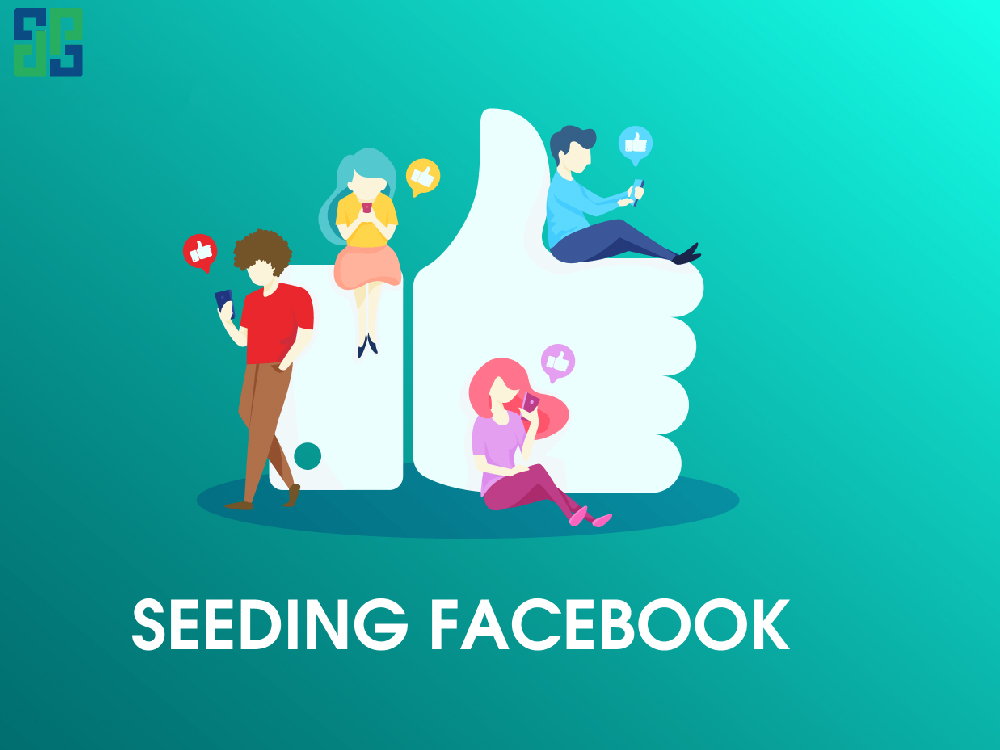 Phổ biến hơn hết là các dịch vụ Seeding Facebook