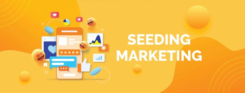 Seeding: The Secret to Attracting Potential Customers for Businesses
