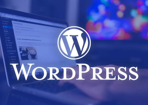 Thiết Kế Website Wordpress: Lựa Chọn Cho Sự Thành Công