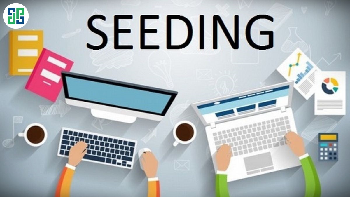 seeding Facebook là gì